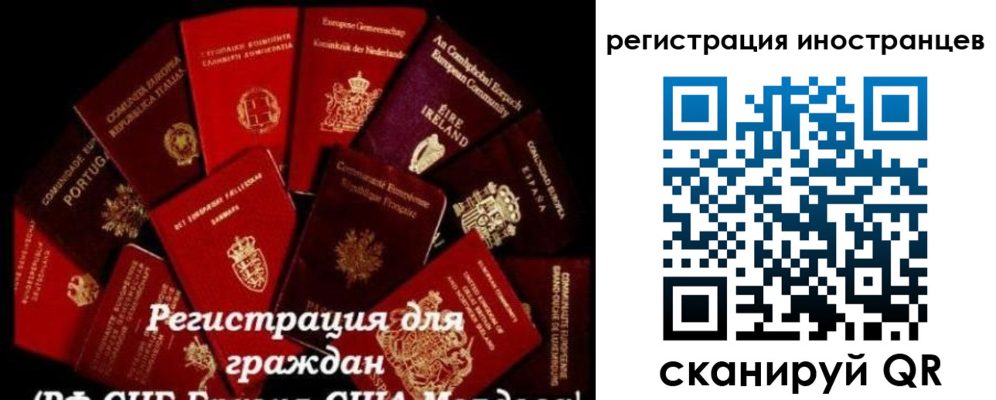 прописка иностранных граждан в Калтане